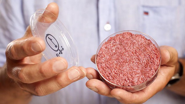 A burger made from Cultured Beef. Photo: David Parry/PA Wire